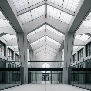 The Vaulted Vision: A Geometric Voyage