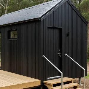Simple Yet Striking Black Shed