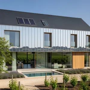 Mirror Mansion: Nature’s Perfect Copycat