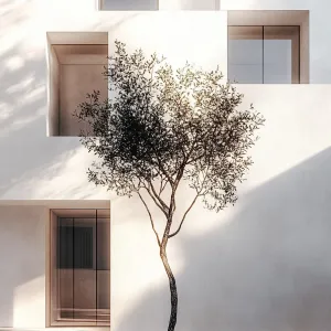 Preview of Serenity Squared: A Minimalist Vision