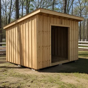Woodland Nook: The Leaning Deal