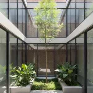 From Brick to Blossoms: A Cozy Courtyard Adventure