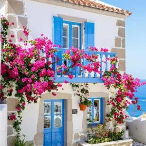 Bougainvillea Bliss Meets Blue and White Charm