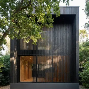 Shaded Timber Screen Forest Pod