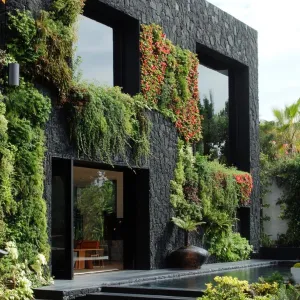 Shadowy, Textured Stone With Lush Greenery