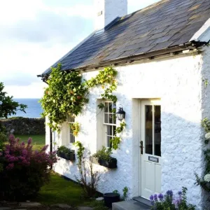 Seaside Sanctuary with Vines