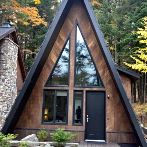 Triangular Treehouse Delight