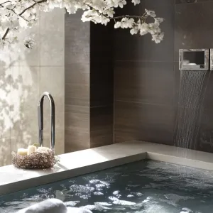 Spa-grade Bathrooms