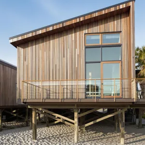 Sandy Stilted Splendor