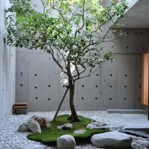 Nature’s Nook: A Concrete Paradise