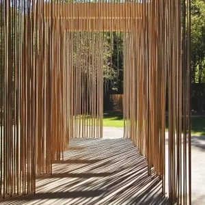 String Symphony: A Play of Shadows