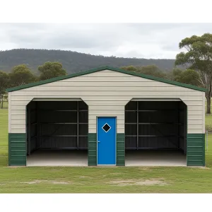 A Quirky Car Shed Adventure