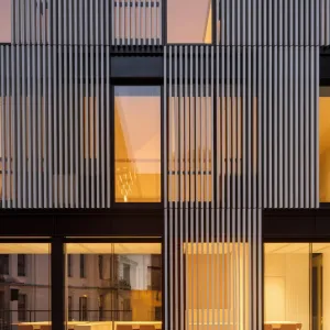 A Dance of Lines and Light