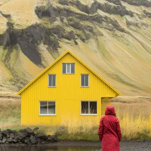Bright Yellow Bliss Beneath Misty Peaks