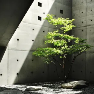 Concrete Calm: A Zen Corner