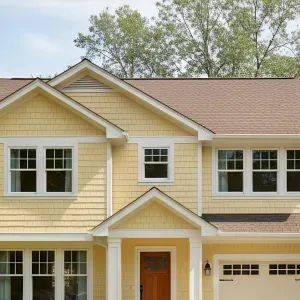 Sunny Suburban Surprise