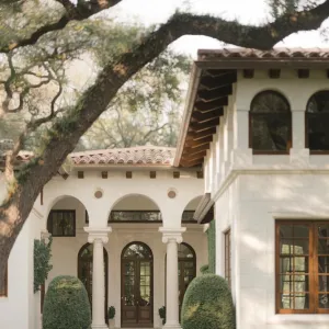 Mediterranean Majesty Under the Oak