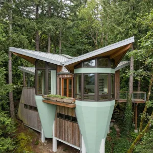 Winged Fir Overlook Studio