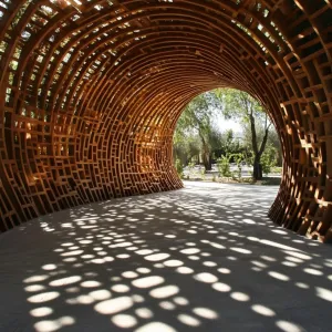 Tunnel of Sun-Kissed Shadows