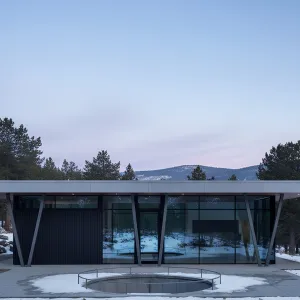 Sleek Shelter in the Snowy Pines