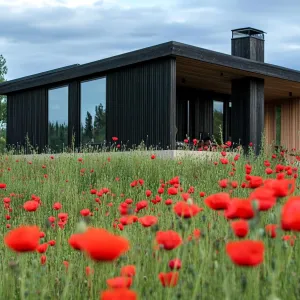 Blackwashed Cedar Cladding