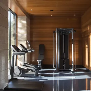 Home Gym & Spa