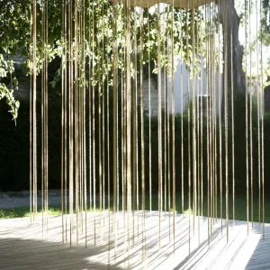 Stringy Sunbeam Sanctuary