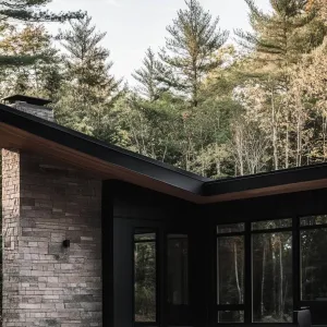 Sleek Serenity in the Woods