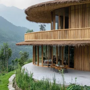 Bamboo Curiosity: The Jungle Abode