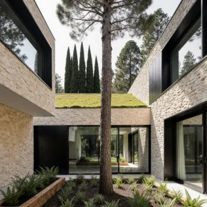 Nature’s Nest: Tree in the Heart of Modern Living