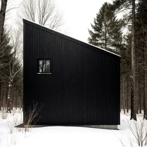 Ebony Barn in a Snowy Escape