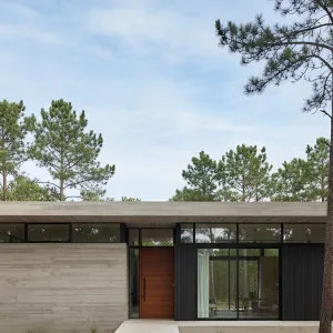 Concrete and Timber: Nature’s Dynamic Duo