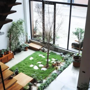 Indoor Eden: Nature’s Playground in Your Living Room