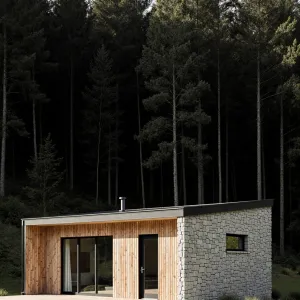 Contemporary Scandinavian Snug