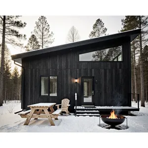 Minimalist Charcoal Retreat in a Frosty Forest