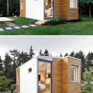 A Timber-Clad Box of Delights