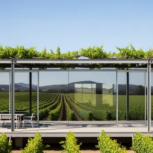 Grapevine Glamour: The Reflective Vineyard Villa
