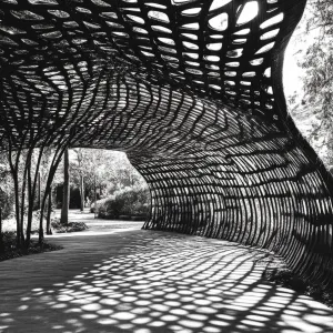 Weaving Shadows Under a Canopy