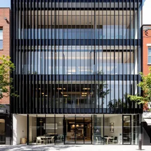 Translucent Veil: A Dance of Shadows