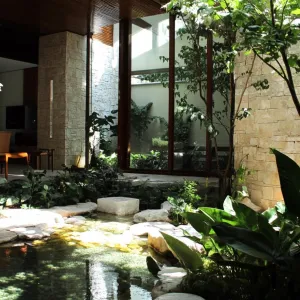 Biophilic Design Elements