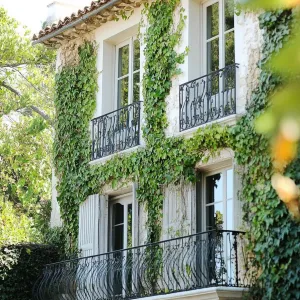Ivy-covered Trellises and Iron Balconies