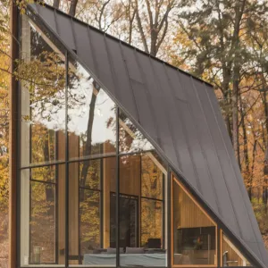 Triangular Timber Tranquility: Forest Frolic