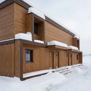 Minimalist Cedar Block On Winter Plain