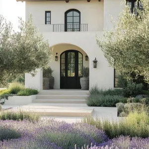 Lush Landscaping With Olive Trees and Lavender