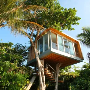 Treetop Beach Hut