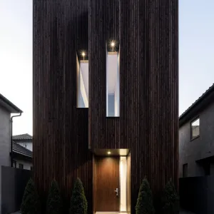 Vertical Charm: The Timber Facade Fantasia