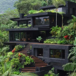 Preview of Modern Tropical Haven