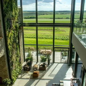 Indoor Vertical Gardens