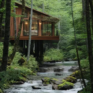 Floating Cabins Above a Forest Stream