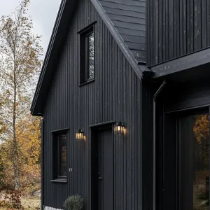 Black Wooden Siding With Ebony Brick Foundation